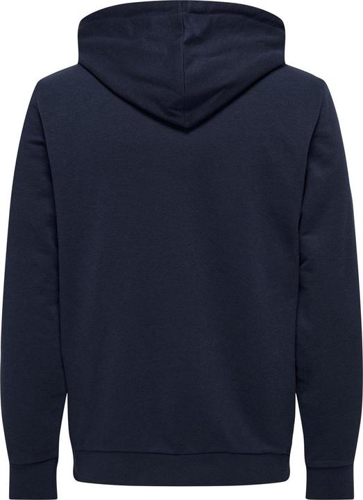 Actual product image Only & Sons Onslenny Reg Vintage Print Hood Sweat (S)