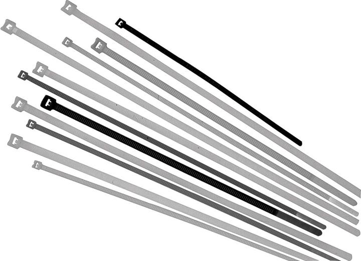 Actual product image Lapp Cable tie 290 mm nature 61831 (Plastic cable ties, 290 mm, 100 pcs.)