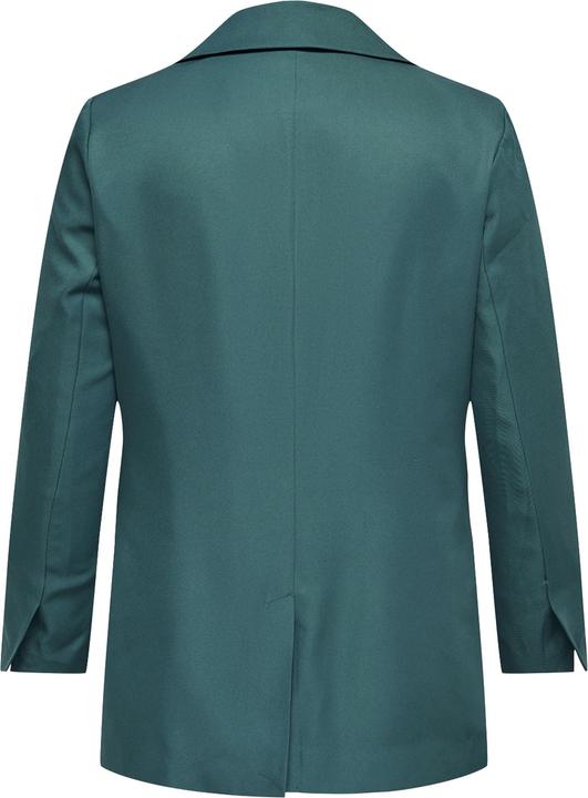 Actual product image Only Loose fit lapel collar Curve blazer Classic blazer (48)