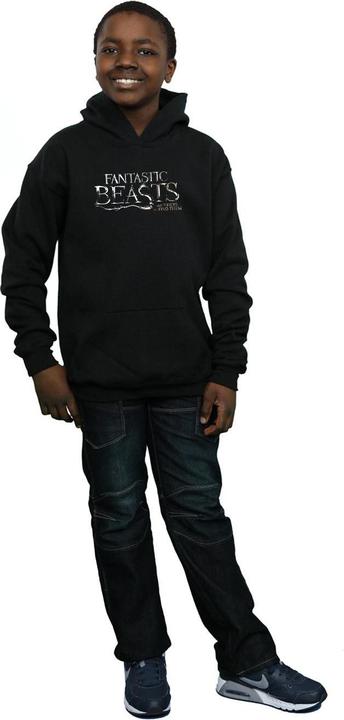 Produktbild Fantastic Beasts Text Logo Kapuzenpullover Jungen (128)