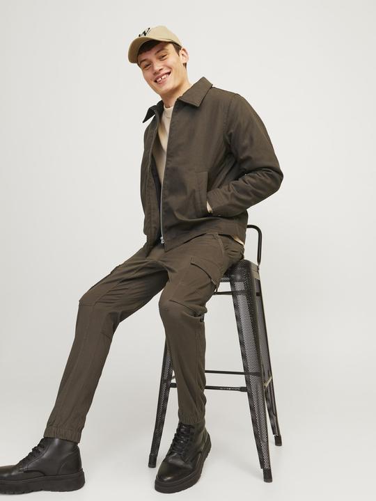 Image du produit Jack & Jones Jpstpaul Jjflake Cargo Noos (W30/L34)