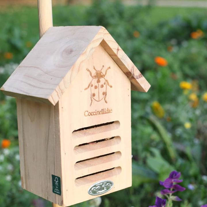 Produktbild Esschert Design Marienkäferhaus mit Silhouette (Marienkäfer)