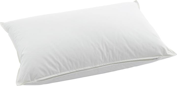 Image du produit Swiss Dream by billerbeck CLC 90 Oreiller de la nature (50 x 90 cm)