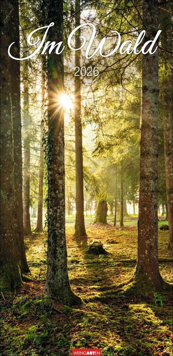 Actual product image Im Wald Kalender 2026 (33 x 68 cm, Hardcover, German)