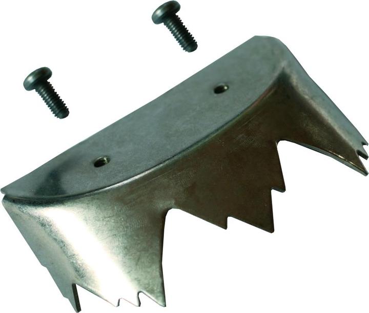 Tsl Shark