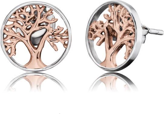 Image du produit Engelsrufer Boucles d'oreilles Arbre de vie (Argent 925 rhodié)