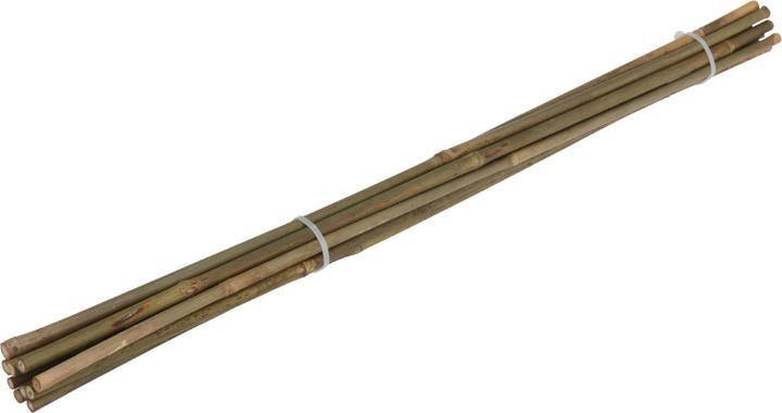 Image du produit Natura Punto Tiges de plantation Tiges de bambou (60 cm, 60 cm)