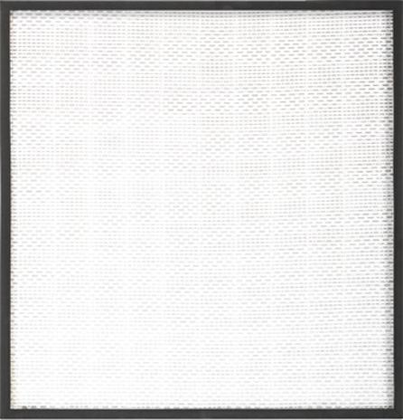 Actual product image Smart Air Replacement HEPA filter for SmartAir Blast Mini air purifier (1 x)