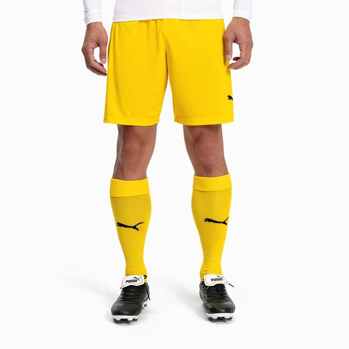 Actual product image Puma Team LIGA Socks CORE-703441 (43, 47)