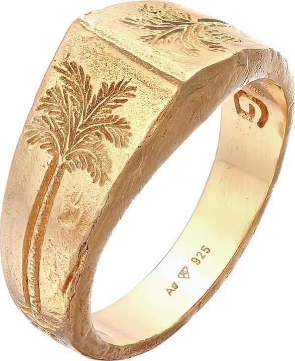 Immagine prodotto Haze & Glory Palme, Siegelring (66, 925 Argento)