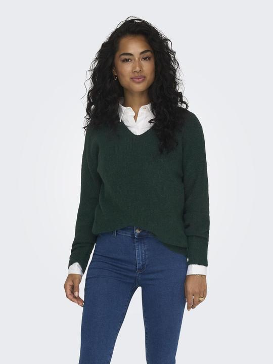 Actual product image Only V-neck knit jumper (L)