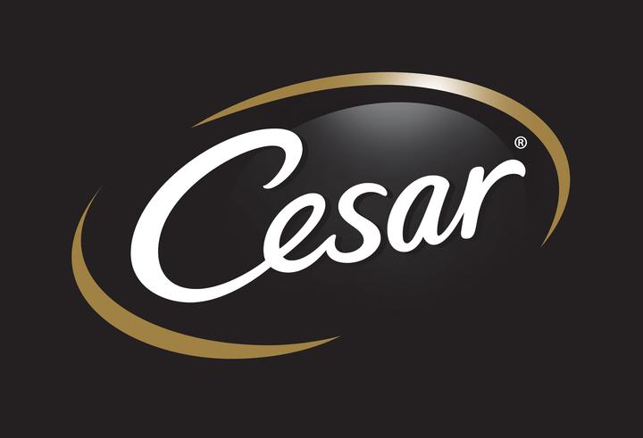Actual product image Cesar Country Kitchen (Adult, 8 pcs., 150 g)