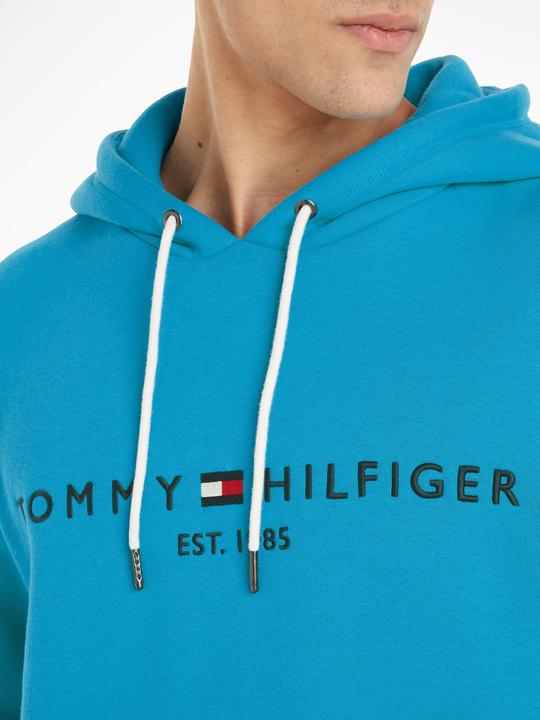 Image du produit Tommy Hilfiger Tommy Logo Hoody (M)