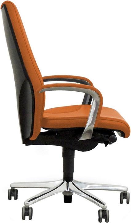 Actual product image Giroflex 64-9278