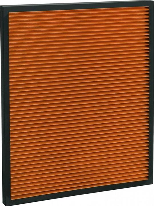 Produktbild Ideal Health Luftreiniger Filter zu AP100 (1 x)