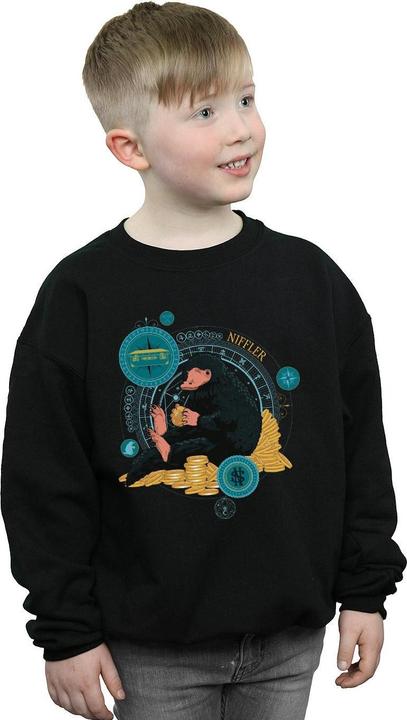 Image du produit Fantastic Beasts - Sweat SITTING NIFFLER - Garçon (128)