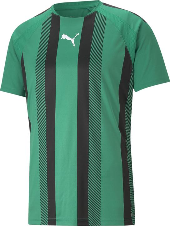 fir green, White, Black