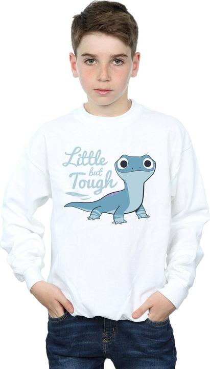 Produktbild Disney Frozen 2 Salamander Bruni Tough Sweatshirt Jungen (128)