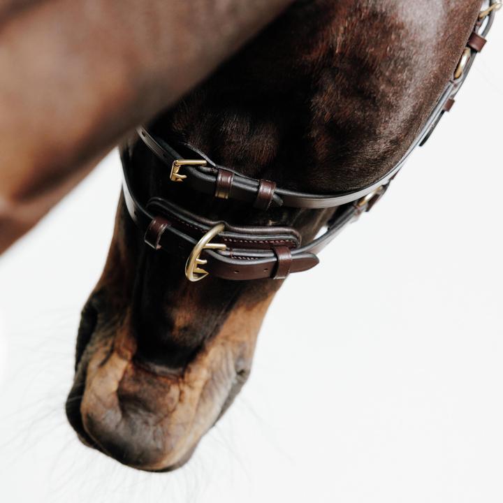 Immagine prodotto Fouganza Briglia senza morso per cavallo/pony marrone