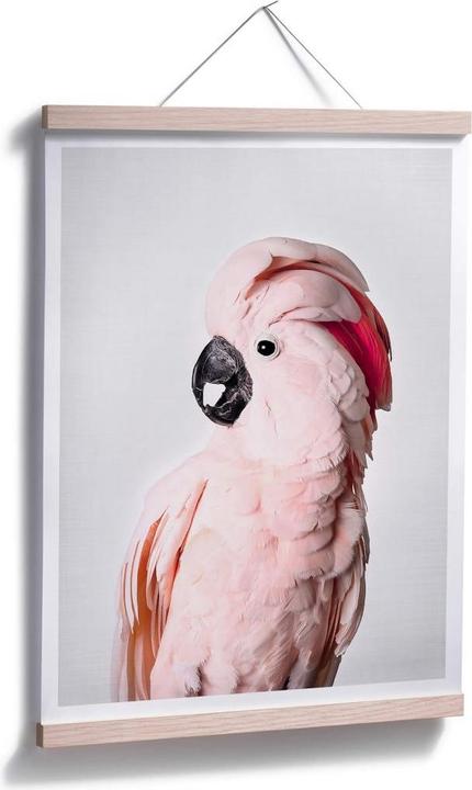 Produktbild Trenddeko Rosa Kakadu (60 x 80 cm)