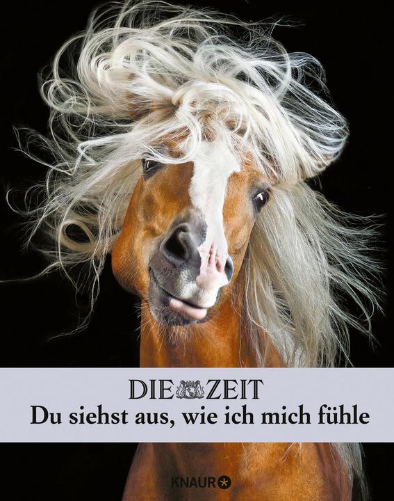 Immagine prodotto Die Zeit. Du siehst aus, wie ich mich fühle (Tedesco, Malin Schulz, 2020)
