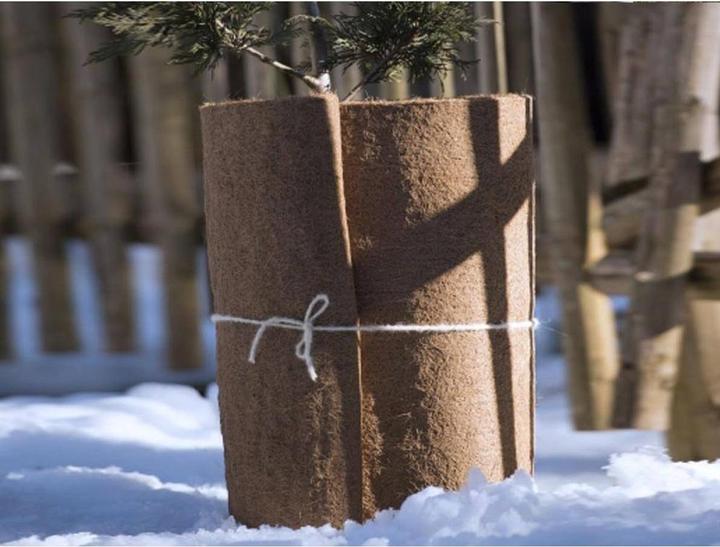 Immagine prodotto Windhager Tappetino di protezione invernale in feltro di cocco