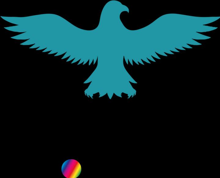 Produktbild Bügelbilder Bügelbild Adler Silhouette