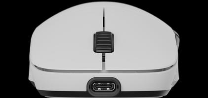 Actual product image Endgame Gear XM2w 4K (Wireless, Cable)