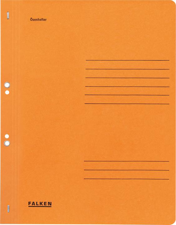 Actual product image Falken Folder 1/2 cover (A4, 1 x)