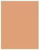 Produktbild Sisley Phyto-Teint Ultra Ã‰clat (3W2 Hazel)