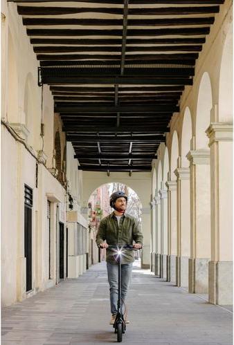 Immagine prodotto Segway-Ninebot F2E Plus (20 km/h, 55 km, 400 W)