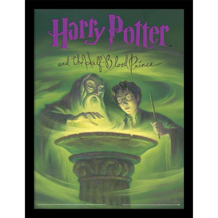 Produktbild Harry Potter Gerahmtes Poster Buchumschlag (40 x 30 cm)