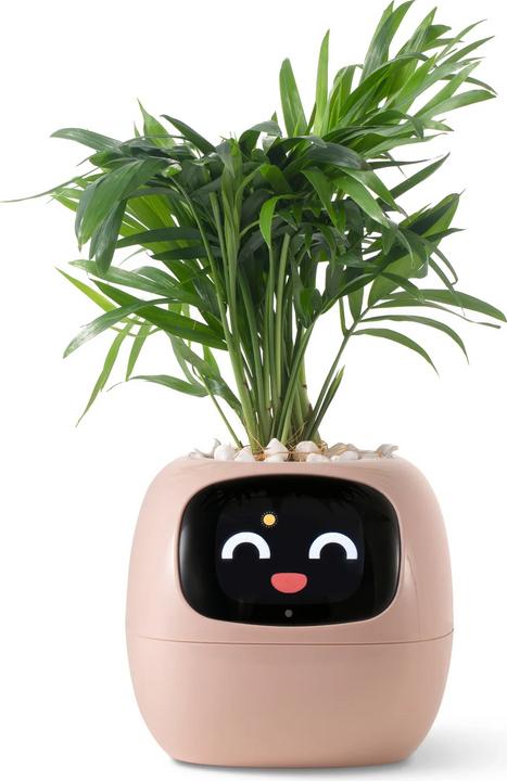 Actual product image Plantsio Ivy Smart Planter