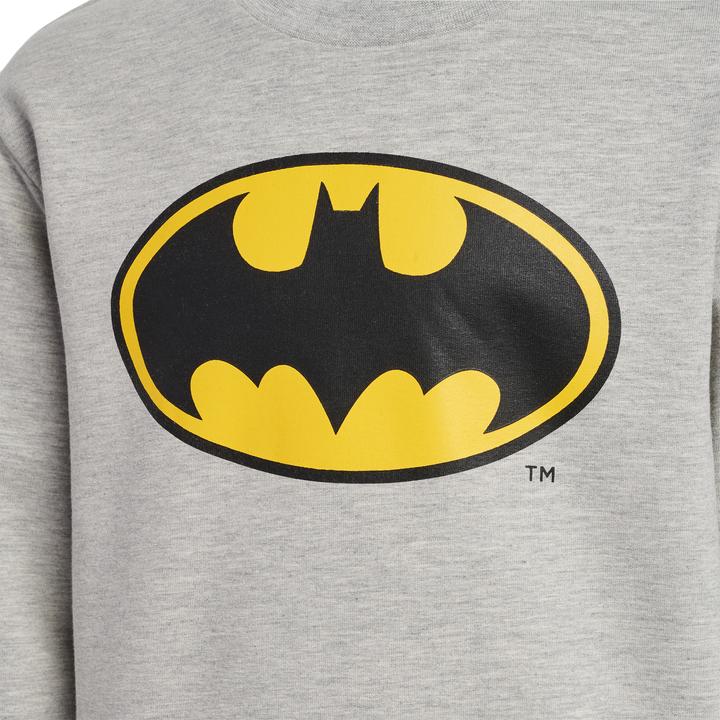 Actual product image hummel Batman Dos Sweatshirt (104)