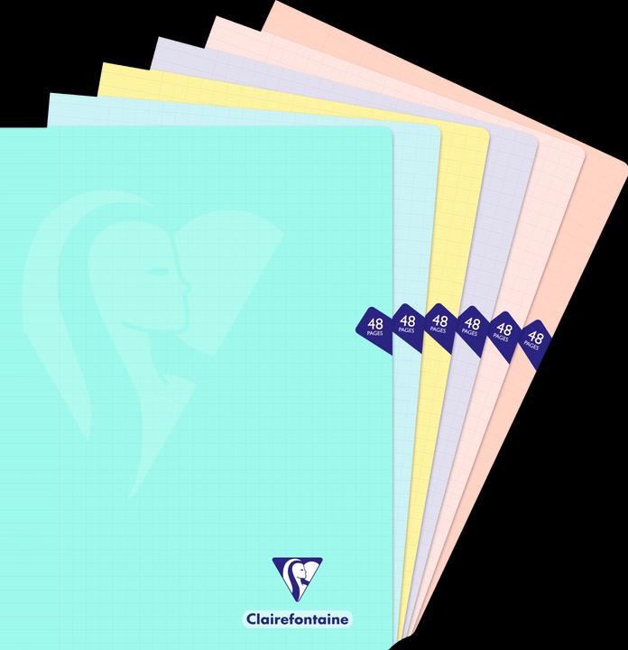 Clairefontaine Mimesys Pastel, booklet (Soft cover)