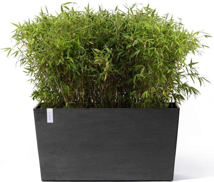 Actual product image Ecopots Paris Wheels (40 cm)