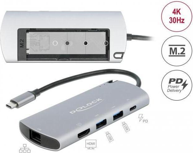 Actual product image Delock USB Type-C™ docking station with M.2 slot (USB-C, 1 Ports)