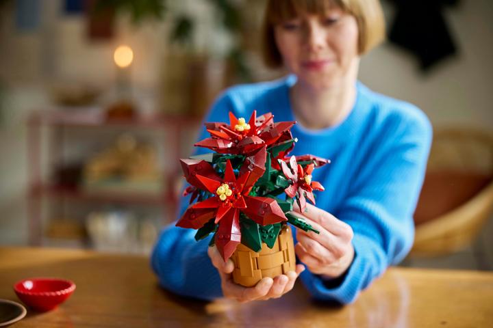 Produktbild LEGO Weihnachtsstern (10370, LEGO Icons)