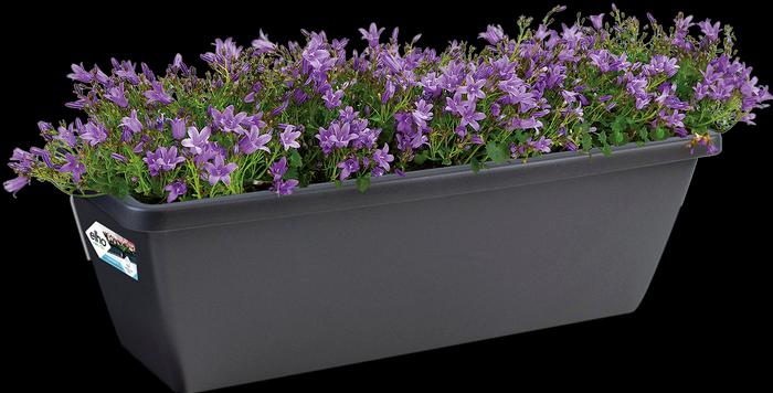Actual product image Elho Flower Box Barcelona L 90 cm anthracite (89.80 cm)