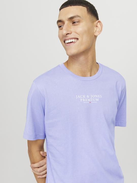 Actual product image Jack & Jones Jprbluarchie Ss Tee Crew Neck Noos (XXL)