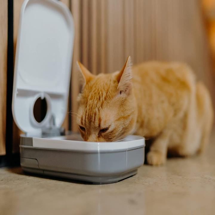 Image du produit Cat Mate C100