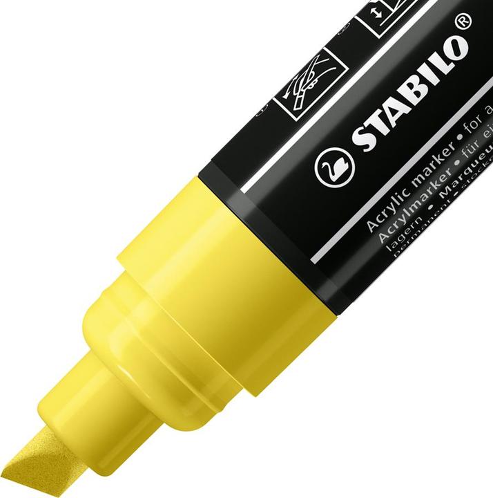 Immagine prodotto STABILO Marcatore acrilico Free Acrylic T800C Seasi 5-case (Verde chiaro, Lilla, Rosa, Giallo, Blu chiaro, 10 mm, 5 x)