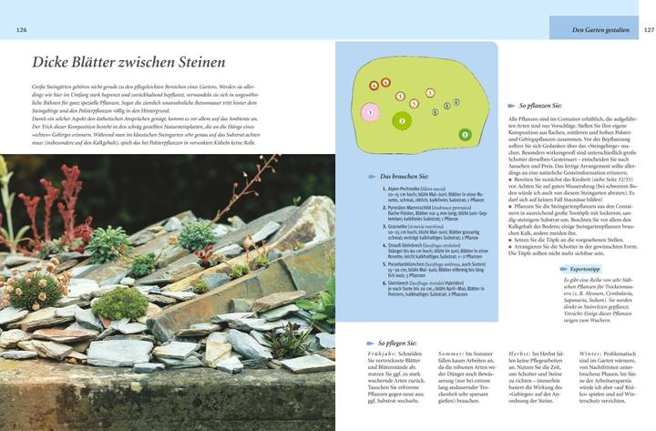 Produktbild Pflegeleichter Garten (Deutsch, Wolfgang Hensel, 2010)