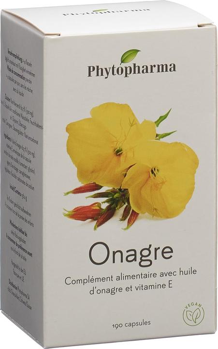 Produktbild Phytopharma Nachtkerze Kapsel 500 mg (190 Stück, Kapseln, 95 g)