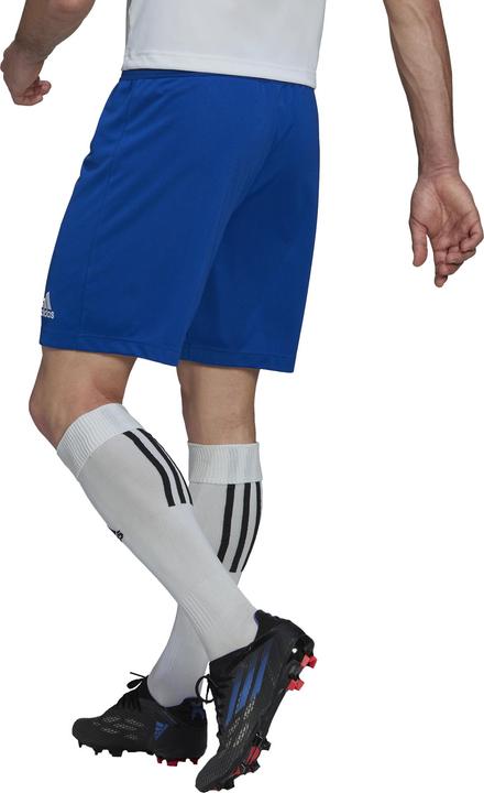 Actual product image adidas Entrada 22 Shorts Men (3XL)