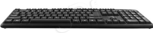 Actual product image Esperanza TK101 Tastatur USB (US, Cable)