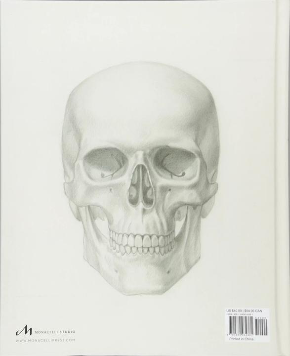 Immagine prodotto Anatomia umana di base (Inglese, Roberto Osti, 2016)