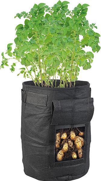 Produktbild Royal Gardineer 10er-Set Pflanzen-Wachstumssäcke (20 cm, 20 cm)