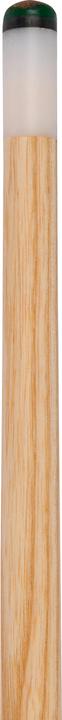 Actual product image Stradivari Deluxe Sport Master