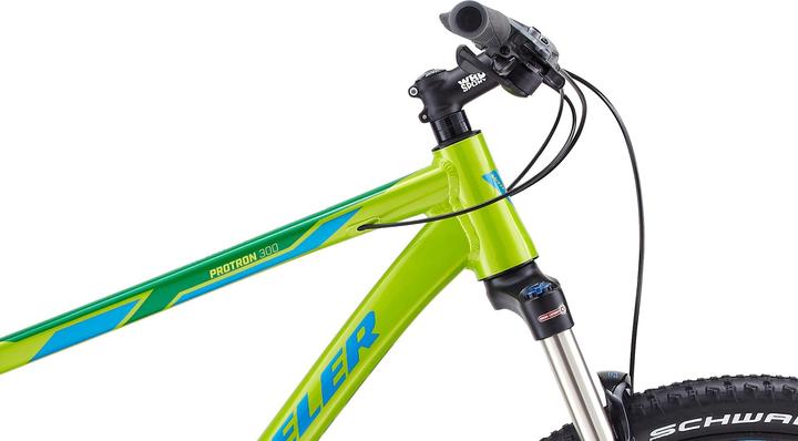 Actual product image Wheeler Protron 300 (43 cm)